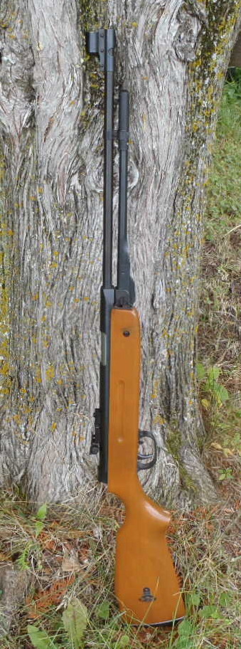 It's fairly solid. If I can't properly target a squirrel with it I'll just bludgeon one with the heavy stock.