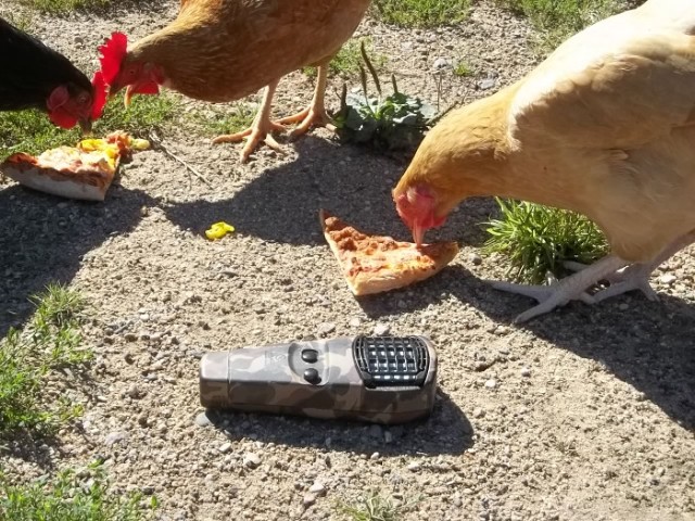 My thermacell (which is probable 15 years old). Chickens eating leftover pizza provided for scale. This image is a link to Amazon's Thermacell site and I recommend the product. (In the interest of full disclosure, you buy it from this link I'll get like a quarter or something.)